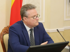 Мэр Воронежа хочет отдать парк «Танаис» в частные руки