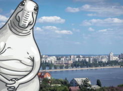 Ждун в Воронеже: чем популярный интернет-мем мог бы заняться в столице Черноземья
