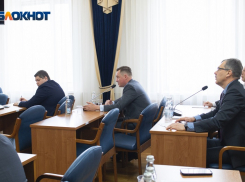 «Это не мечты»: вырубка под магистраль в нагорной дубраве стала камнем преткновения в Воргордуме