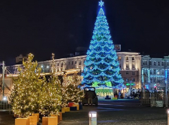 Какие елки украсили Воронеж в преддверии Нового года 2020