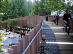 Стало известно, когда воронежцы смогут гулять по «Орленку»