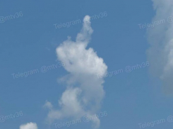 Это послание: неожиданный знак в небе удивил жителей Воронежа