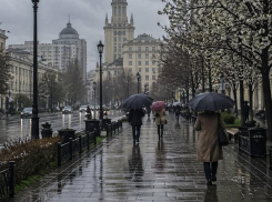 Чего ждать от погоды в Воронеже на выходных?