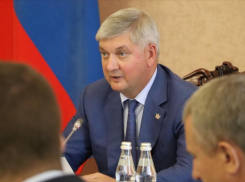 Женской физиологией объяснил губернатор Гусев жесткие ограничения помощи матерям