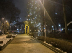 Что не так с Центральным парком, рассказали воронежцы