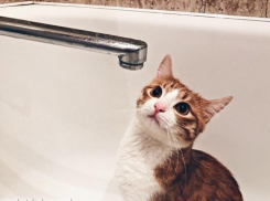 Космический рост тарифов на водоотведение утвердили в Воронеже