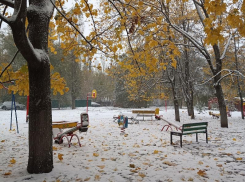 Молния! Прогноз погоды для Воронежа на новогодние праздники резко изменился