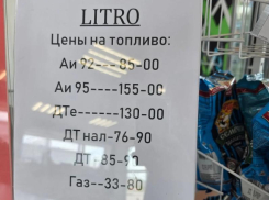Литр бензина за 155 рублей стали продавать в Воронежской области