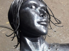 Нововоронежскую Алёнку попытались «украсть или испортить»