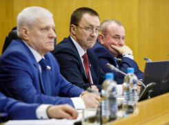 Зарплаты, дороги, поддержка СВО – на что депутаты воронежской облдумы утвердили дополнительные средства