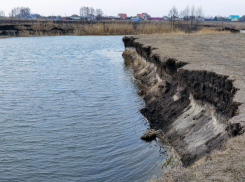 Речной скандальчик: воронежский департамент угодил в громкую историю с уголовным делом