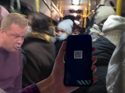 В Воронеже надо срочно ввести QR-коды для проезда в маршрутках. И вот почему