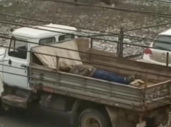 Странная фотография стала поводом для обсуждений среди воронежцев