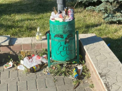 Печальное зрелище: воронежский сквер превратился в помойку