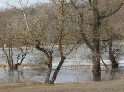 Экотропа «Легенды Хопра» открылась в Воронежской области