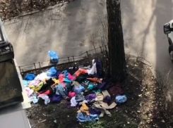 Принудительное выселение девушки сняли на видео в Воронеже