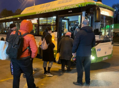 Распродажу 23 маршруток за 3,1 млн рублей устроил «Воронежпассажиртранс»