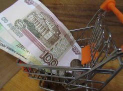 Назван средний размер пенсии в Воронежской области 