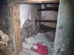 «Может привести к печальным последствиям»: воронежцы из разрушающегося дома бьют тревогу