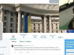 Украинскому консулу разрешили встретиться с Надеждой Савченко