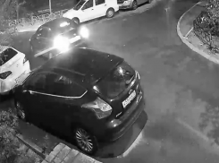 Бессовестный поступок при женщине совершил водитель из Воронежа