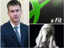 У вице-мэра Воронежа Антиликаторова обнаружили «борзого щенка» в виде абонемента в фитнес-клуб