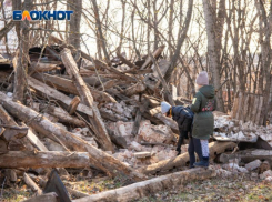 Воронежский лестех открестился от скандального сноса усадьбы Олениных