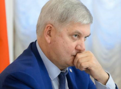 «Сухо и безрадостно»: куда пропало хорошее настроение «команды мечты» губернатора Воронежской области