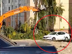 Снос дерева ковшом вблизи припаркованной машины сняли на видео в Воронеже