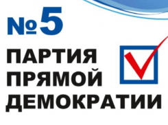 Партия прямой демократии – пожалуй, лучший выбор для каждого воронежца 