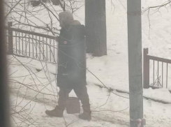 «Полез в приямок, как собака сутулая» – таинственный бомж кошмарит жильцов дома в центре Воронежа