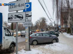 Договор — расторгнуть, парковки — убрать: что говорят о белгородской концессии «Горпарковок» в Воронеже