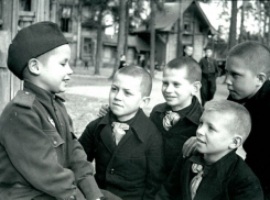 Законопроект «Дети Войны» Воронежской областной Думы одобрили на Совете Федерации