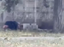 Воронежцы стали свидетелями орального секса прямо на улице средь бела дня 