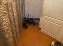 Тела двух мертвых детей обнаружили в Воронежской области 