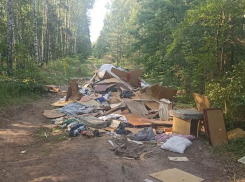 “Какие-то умники”: противопожарную просеку завалили мусором в Воронеже