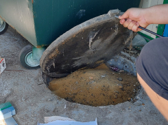 КСП потянула за ниточку мусорного клубка в Семилуках- ход за прокуратурой Савруна