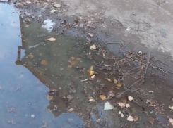 «В дерьме отражается небо»: воронежцы показали, чем живет улица Достоевского последние дни 