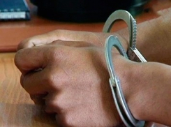 Два брата совершили 16 краж под Воронежем и скрывались в Москве 