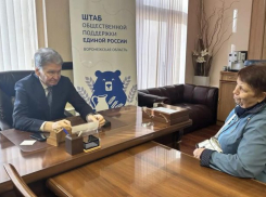 Наказы жителей Борового и Сомово взял в работу депутат Воронежской гордумы Владимир Ходырев