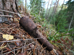 В Воронежской области возле дороги нашли боеприпасы времен Великой Отечественной войны