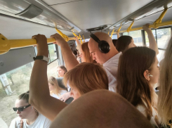 Давка, крики, пробки: маршруточный аврал случился утром 3 сентября в Воронеже 