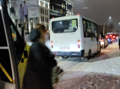 Водитель автобуса избавил от мучений пассажиров в Воронеже