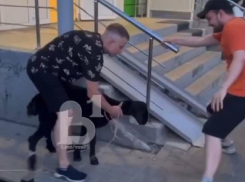 Погоню за козой на парковке в воронежском ЖК сняли на видео