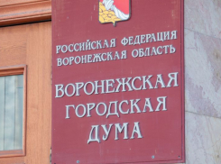 Новые правила землепользования и застройки утвердили депутаты в Воронеже
