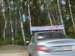 Трепетной благодарностью воронежский отец встретил жену и дочку из роддома