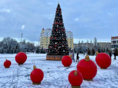 Вандализм на воронежской площади попал на видео 