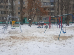 Общественники эффективно пристыдили мэрию Воронежа убогими качелями  