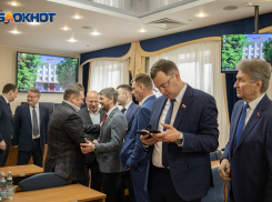 Кто не работает, тот отдыхает: воронежские депутаты продлили себе большие новогодние каникулы