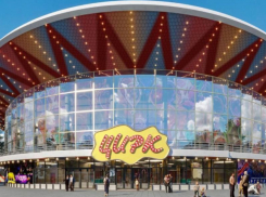 Воронежцам показали, как мог бы выглядеть цирк после реконструкции